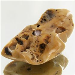 170ct Natural Color Tan Salmon Coral Branch (MIN-001085)