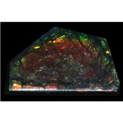 4.3ct Glowing Canada Ammolite Solid Cab Appr $882 (GEM-055162)