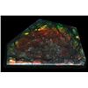 Image 1 : 4.3ct Glowing Canada Ammolite Solid Cab Appr $882 (GEM-055162)