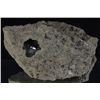 Image 1 : 700ct Base Material with Herkimer Diamond Pocket (MIN-002863)