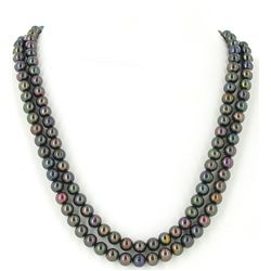 Black Saltwater Pearl 2 Strand Necklace (JEW-002592)