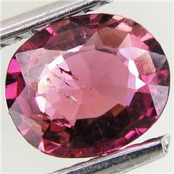 0.8ct Pink Tourmaline Appraised $349 (GEM-044279)