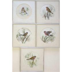 English School, set of 5 watercolours, Studies of British Birds, indistinctly signed, dated (19)1...