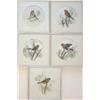 Image 1 : English School, set of 5 watercolours, Studies of British Birds, indistinctly signed, dated (19)1...