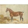 Image 1 : George Paice (1854-1925) oil on board, Portrait of a hunter in a stable; 'Flexable' signed, 8.5in...