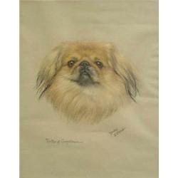 Dorothy S.Hallett (Exh 1913-30) pastel, Portrait of a Pekingese; Ya-tze of Greystones, signed, 16...