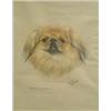 Image 1 : Dorothy S.Hallett (Exh 1913-30) pastel, Portrait of a Pekingese; Ya-tze of Greystones, signed, 16...
