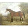 Image 1 : Nineteenth century English School, oil on canvas, Portrait of a horse in a field, indistinctly si...