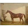 Image 1 : G.Cole, oil on canvas, Racehorse in a stable, signed, 17ins x 20.5ins £200-300...