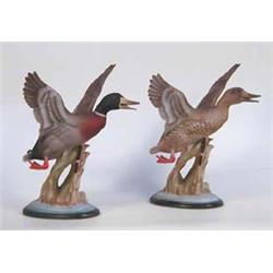 PAIR OF BOEHM PORCELAIN "MALLARDS" American. Issued in 1952. Studio No. 406. Limited Edition of 5...