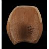 Image 2 : Nuu-chah-nulth Knob Top Basket with Eagle Holding Arrow Motif 3" D. 2 1/2" H.  Good Condition with M