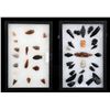 Image 1 : Two Frames of Arrowheads Collected in the Northern Plains Area 3/4" L. - 3 1/4" L.