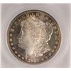 Image 2 : 1881-S MORGAN DOLLAR SEGS MS65 PL