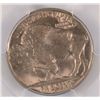 Image 3 : 1937-D BUFFALO NICKEL PCGS MS65