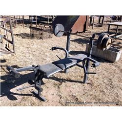 WEIDER BENCH & WEIGHTS