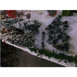 Large Trees-Small Trees & Shrubs