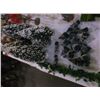 Image 1 : Large Trees-Small Trees & Shrubs