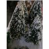 Image 2 : Large Trees-Small Trees & Shrubs
