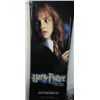 Image 1 : Harry Potter Poster, Approx. 36"x96"
