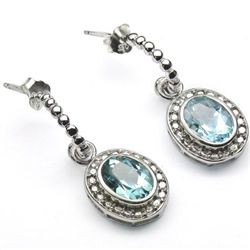 Precious 2.82 Ct Blue Topaz 925 Silver Earrings
