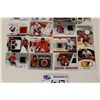 Image 2 : LOT OF 15 OTTAWA SENATORS AUTHENTIC MEMORABILIA CARDS INCLUDING: A. KOVALEV, M. HAVLAT, J. SPEZZA,