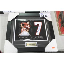 FRAMED 8" X 10" AUTOGRAPHED PHOTO WITH COA- TED LINDSAY