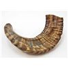 Image 2 : NATURAL SHEEP HORN 40 CM
