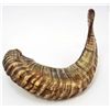 Image 3 : NATURAL SHEEP HORN 40 CM