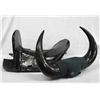 Black Laquered Saddle & Buffalo Horn Mount