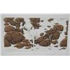 Image 3 : Bev Doolittle Hide and Seek Portfolio & Video