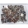 Image 1 : Collection of Pottery Sherds & Shells