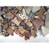 Image 3 : Collection of Pottery Sherds & Shells