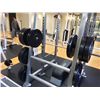 Image 2 : SET OF 14 FREE WEIGHTS INCLUDING 6X 45 LBS, 2X 35 LBS,  2X 25 LBS, 4X 10LBS