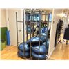 Image 1 : MOBILE RACK WITH BALANCE BALLS
