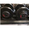 Image 2 : APEX DUMBELL RACK COMPLETE WITH 20 GPI DUMBELLS FROM 15 LBS TO 55 LBS