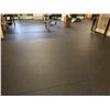 Image 1 : APPROXIMATELY 1000 SQUARE FEET OF GYM FLOORING