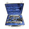 Image 1 : BUNDY CLARINET IN QUALITY CARRYING CASE