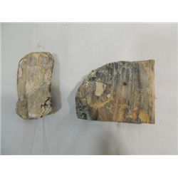 LOT 2 PIECES OF PETRIFIED WOOD UNPOLISHED