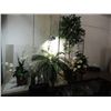 Image 1 : LOT 5 DECORATIVE SILK PLANTS: ROSE PLANT, FERN,