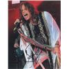 Image 2 : Aerosmith: Steven Tyler