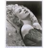 Image 1 : Madeleine Carroll