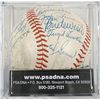 Image 2 : Detroit Tigers