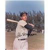Image 1 : Joe DiMaggio