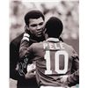 Image 1 : Pele