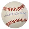 Image 1 : Ted Williams