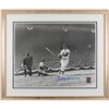 Image 1 : Ted Williams