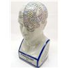Image 1 : 14439 - PORCELAIN PHRENOLOGY HEAD