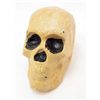 Image 1 : 15202 - SKULL HEAD PAPER WEIGHT