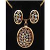 Image 1 : 15075 - GORGEOUS RHINESTONE NECKLACE & EARRINGS SET