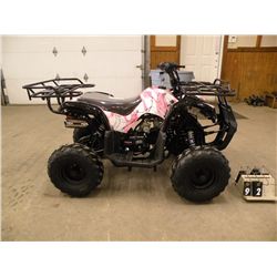 2013 Coolster 125cc youth atv -pink camo L6ZSCJLA5D1017331